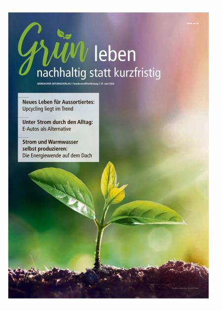 Grün leben - nachhaltig statt kurzfristig